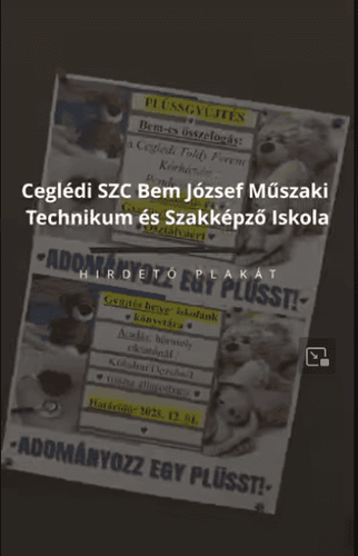 A Bem iskola diákjai plüssöket gyűjtöttek